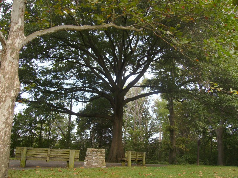 webtrees vernon webtrees vernon